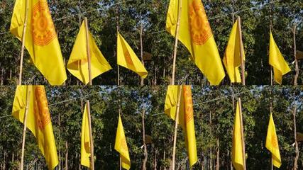 元朝旗幟元朝旗幟AE模板下載_光廠(VJ師網)