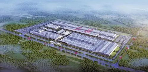 小米集團(tuán)雷軍來長(zhǎng)春了 是奔他來的